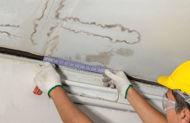 Reliable Mold Remediation contractor in Oakville, WA by Water Damage Irwin